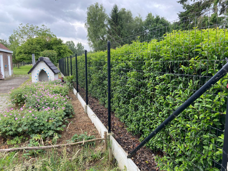 Tuinman in de buurt Meldert (Aalst), Oost-Vlaanderen