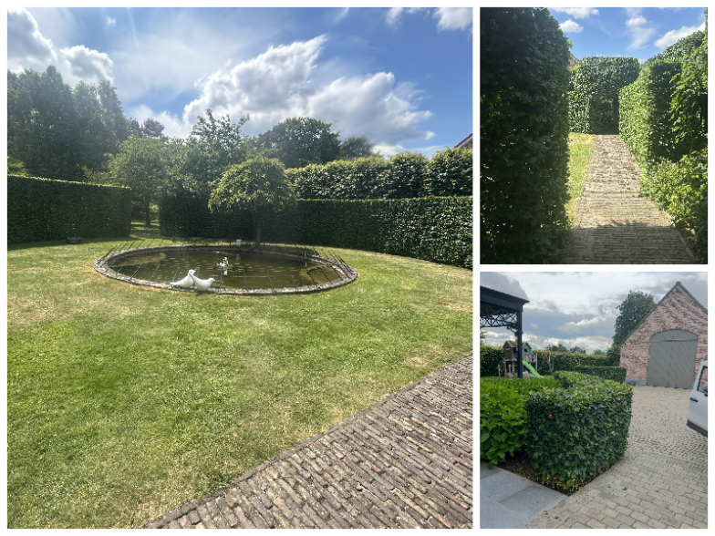 ti1.png - De Vocht Tuinonderhoud, Arendonk