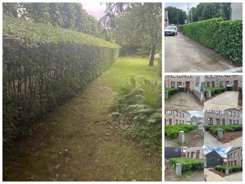 ti2.png - De Vocht Tuinonderhoud, Arendonk