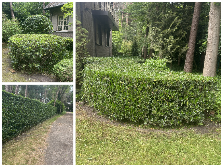 vocht.png - De Vocht Tuinonderhoud, Arendonk