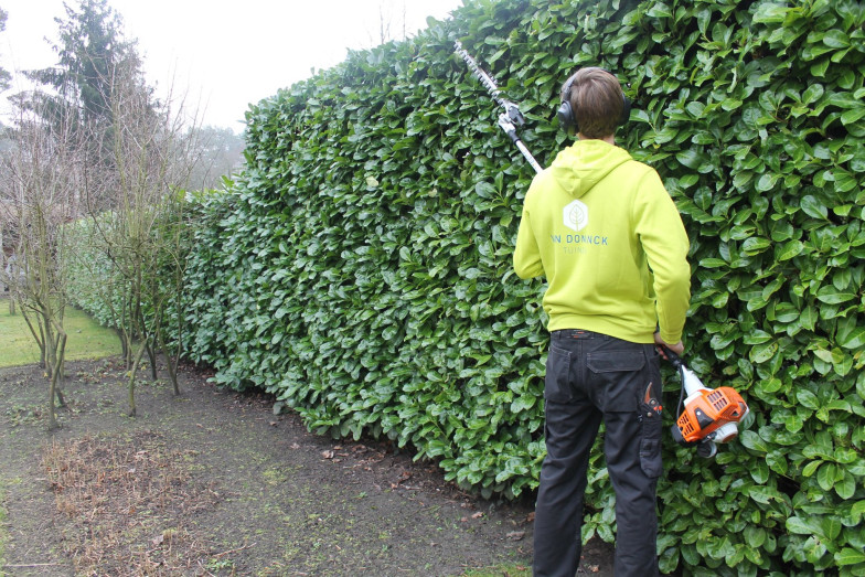 Haagafwerking Olen, Antwerpen